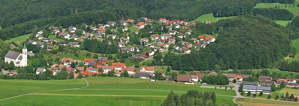 Rickenbach / Hotzenwald Online